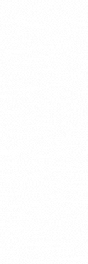 spot_img